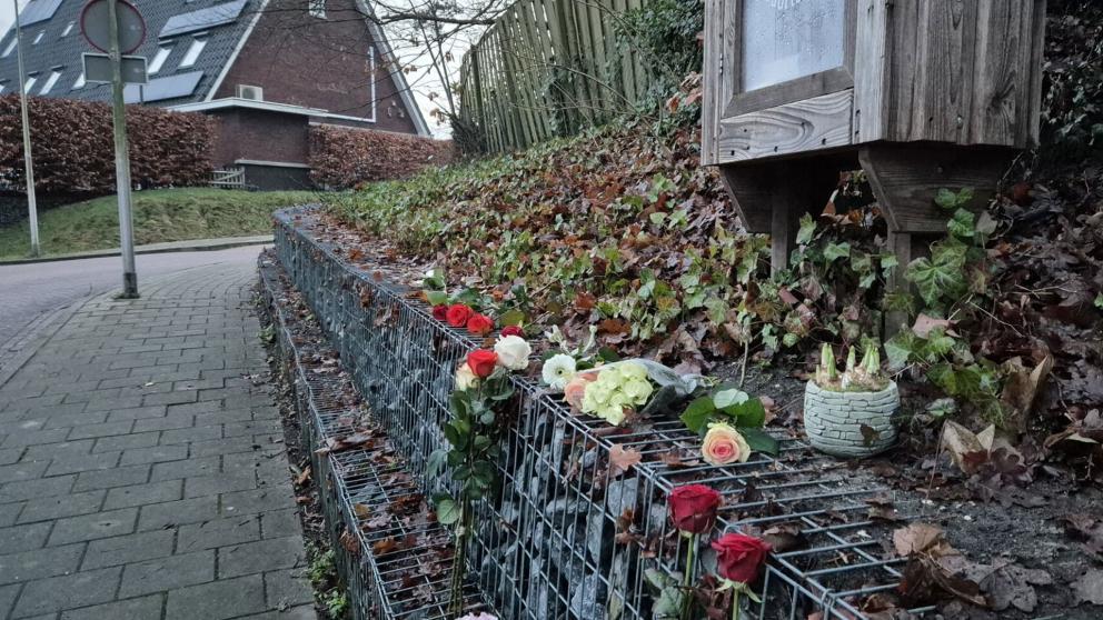 dodelijke steekpartij