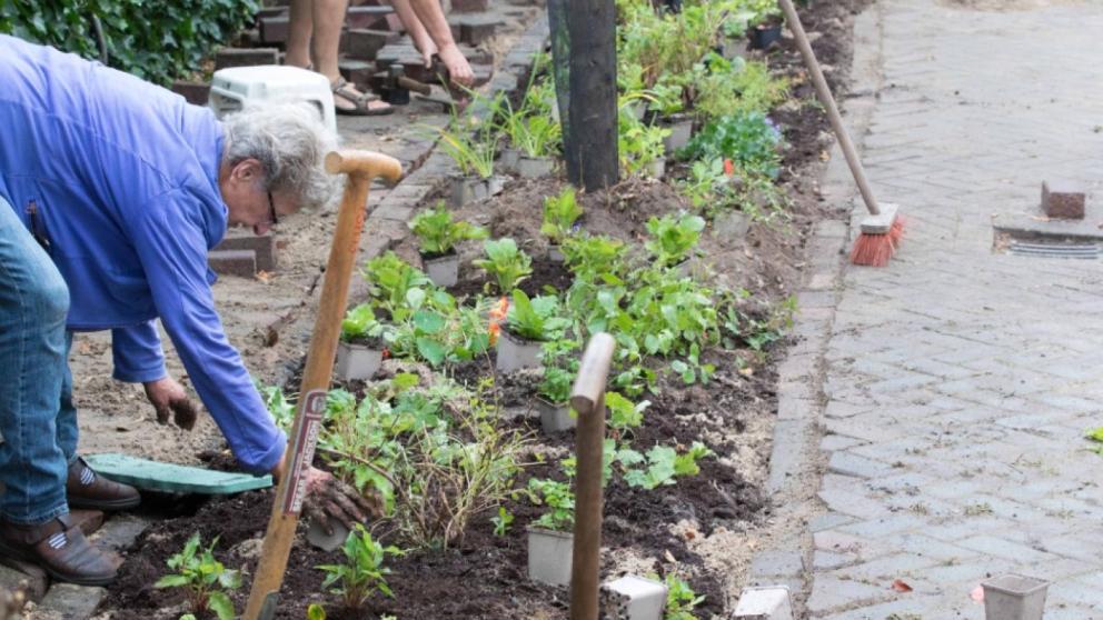 groen aan de buurt