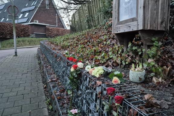 dodelijke steekpartij