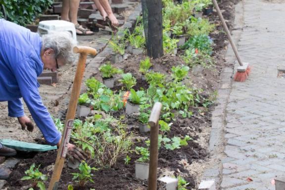 groen aan de buurt